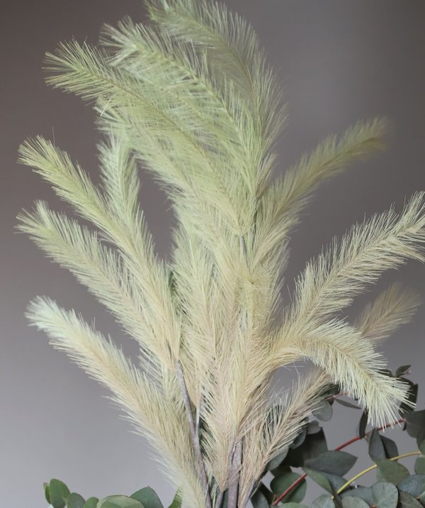Panicle Grass Mintgrün